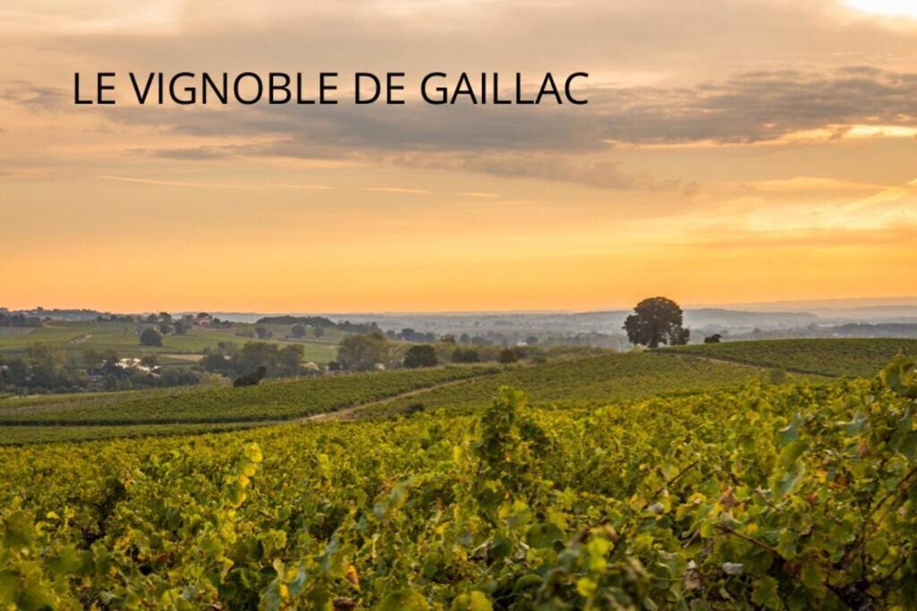 Jolie Maison - Calme - Jardin - Gaillac Exterior foto